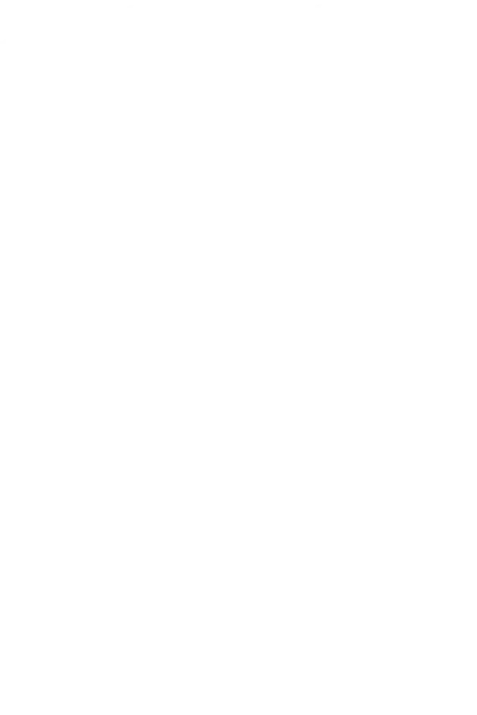 Di Seguridad